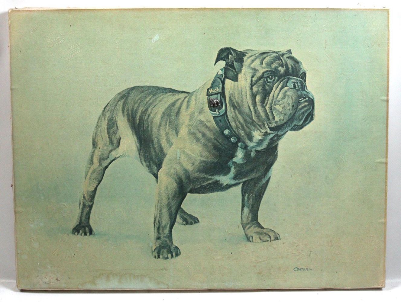 Große Abbildung Nr.13: 144-2876 Mops und Bulldogge.: (Varia, Zoologie, Hunde)