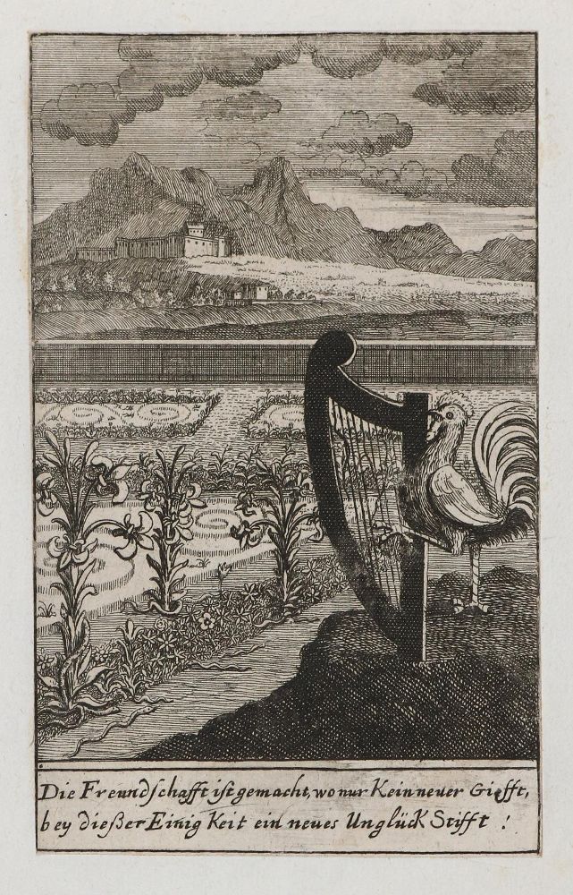 Große Abbildung Nr.1: 144-2878 Katzen: (Varia, Zoologie)