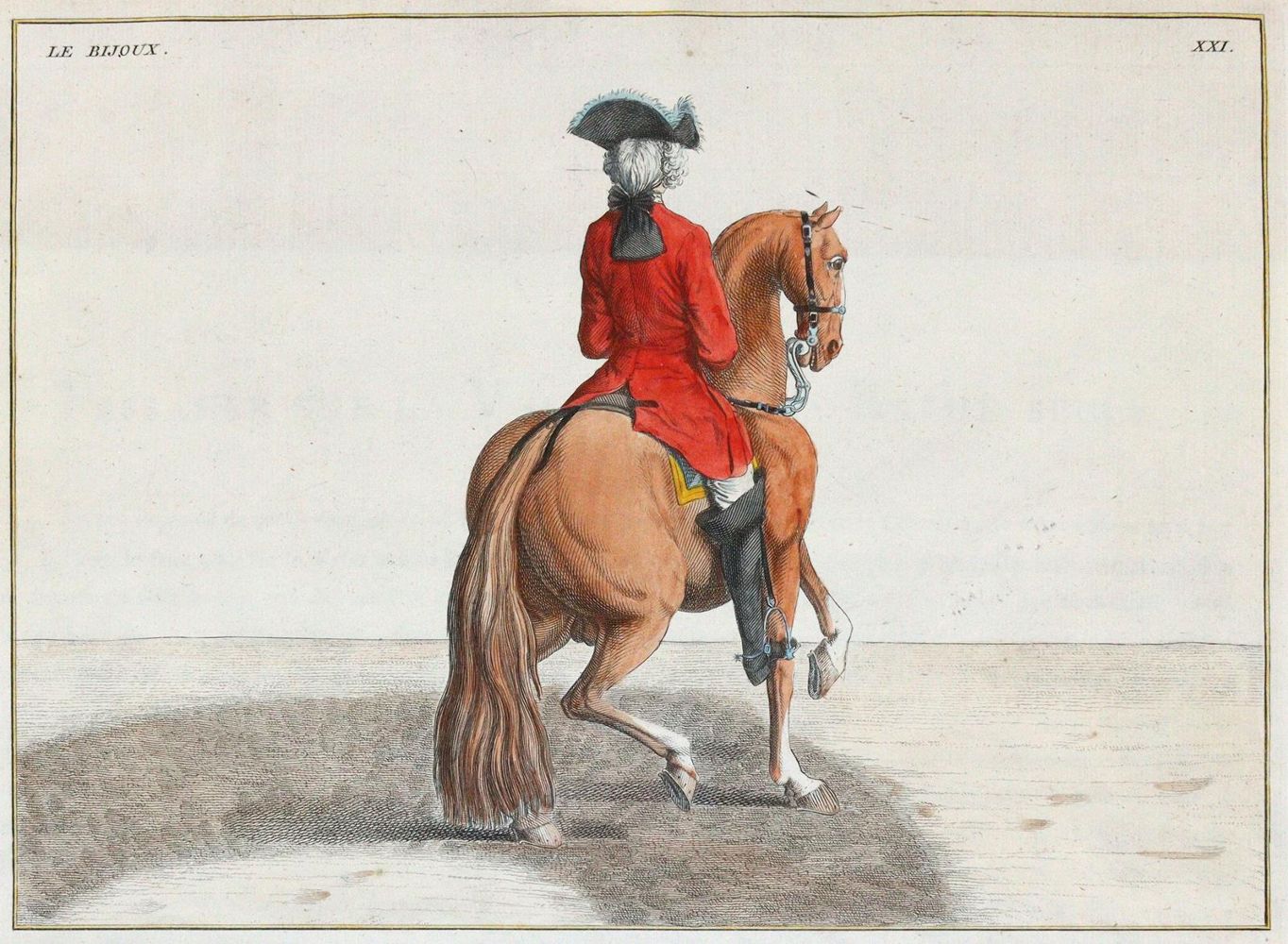 Große Abbildung Nr.1: 144-2881 Eisenberg, Friedrich Wilhelm von: (Varia, Zoologie, Pferde)