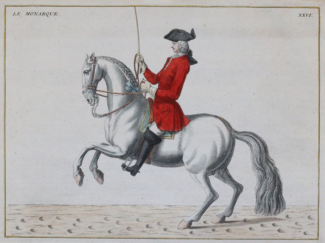 Große Abbildung Nr.6: 144-2881 Eisenberg, Friedrich Wilhelm von: (Varia, Zoologie, Pferde)