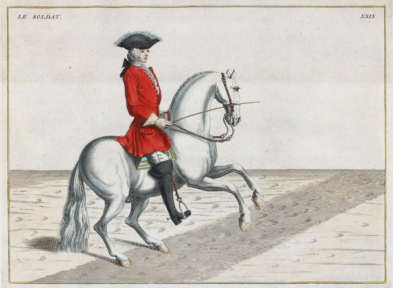 Große Abbildung Nr.7: 144-2881 Eisenberg, Friedrich Wilhelm von: (Varia, Zoologie, Pferde)