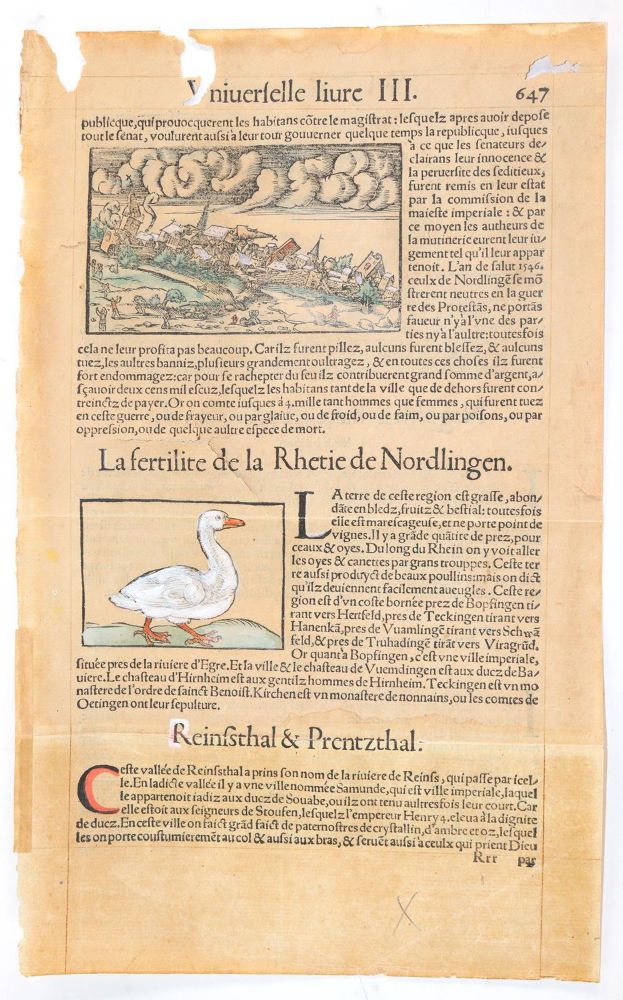 Große Abbildung Nr.2: 144-2954 Konvolut: (Deutschland, Nördlingen)