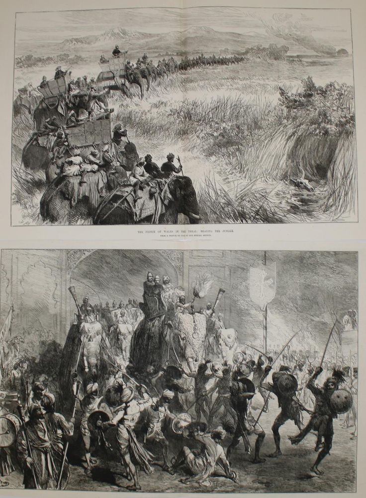 Große Abbildung Nr.3: 144-3109 Konvolut: (Ausland)