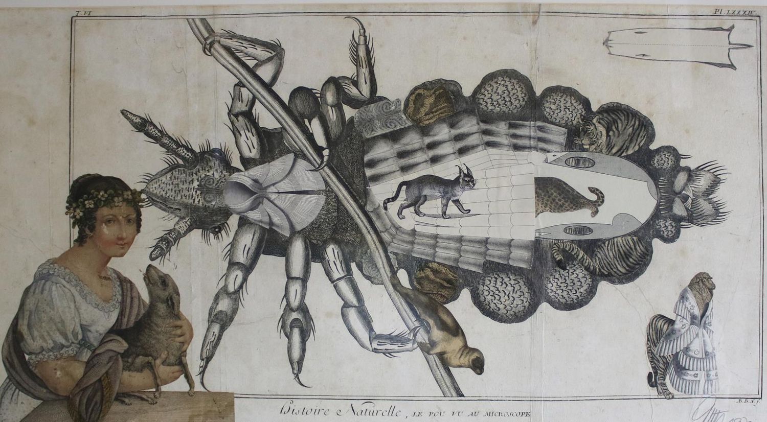 Große Abbildung Nr.1: 144-3261 Bauer, Karlheinz: (Künstlergraphik)