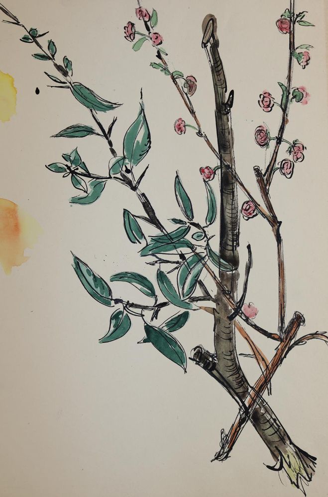 Große Abbildung Nr.7: 144-3292 Blumen: (Künstlergraphik)