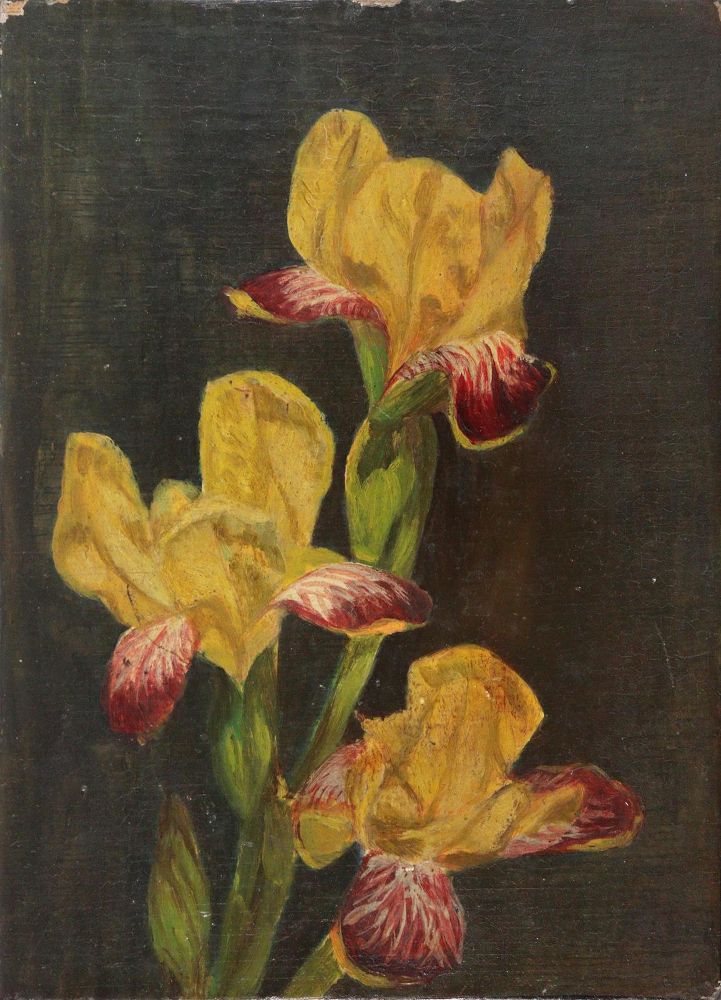 Große Abbildung Nr.1: 144-3293 Blumenstilleben.: (Künstlergraphik)