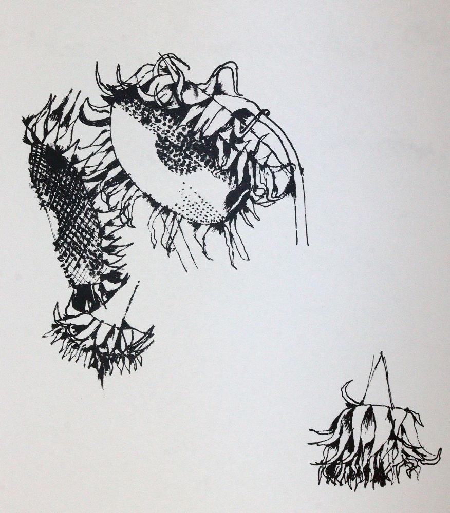 Große Abbildung Nr.3: 144-3380 Chagall, Marc: (Künstlergraphik)