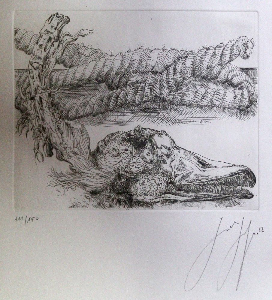 Große Abbildung Nr.1: 144-3579 Grass, Günter: (Künstlergraphik)