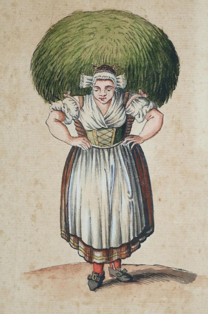Große Abbildung Nr.11: 144-3765 Tosa Schule.: (Künstlergraphik, Japan)