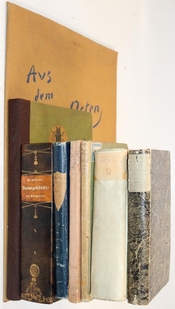 Große Abbildung Nr.4: 144-390 Konvolut: (Varia)