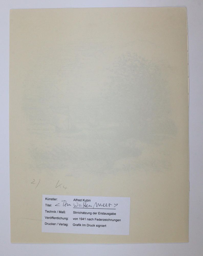 Große Abbildung Nr.2: 144-3946 Kubin, Alfred: (Künstlergraphik)