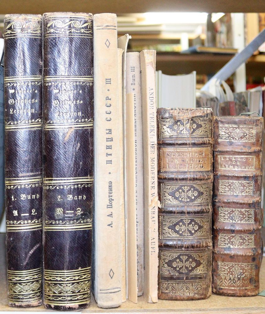 Große Abbildung Nr.1: 144-395 Konvolut: (Varia)