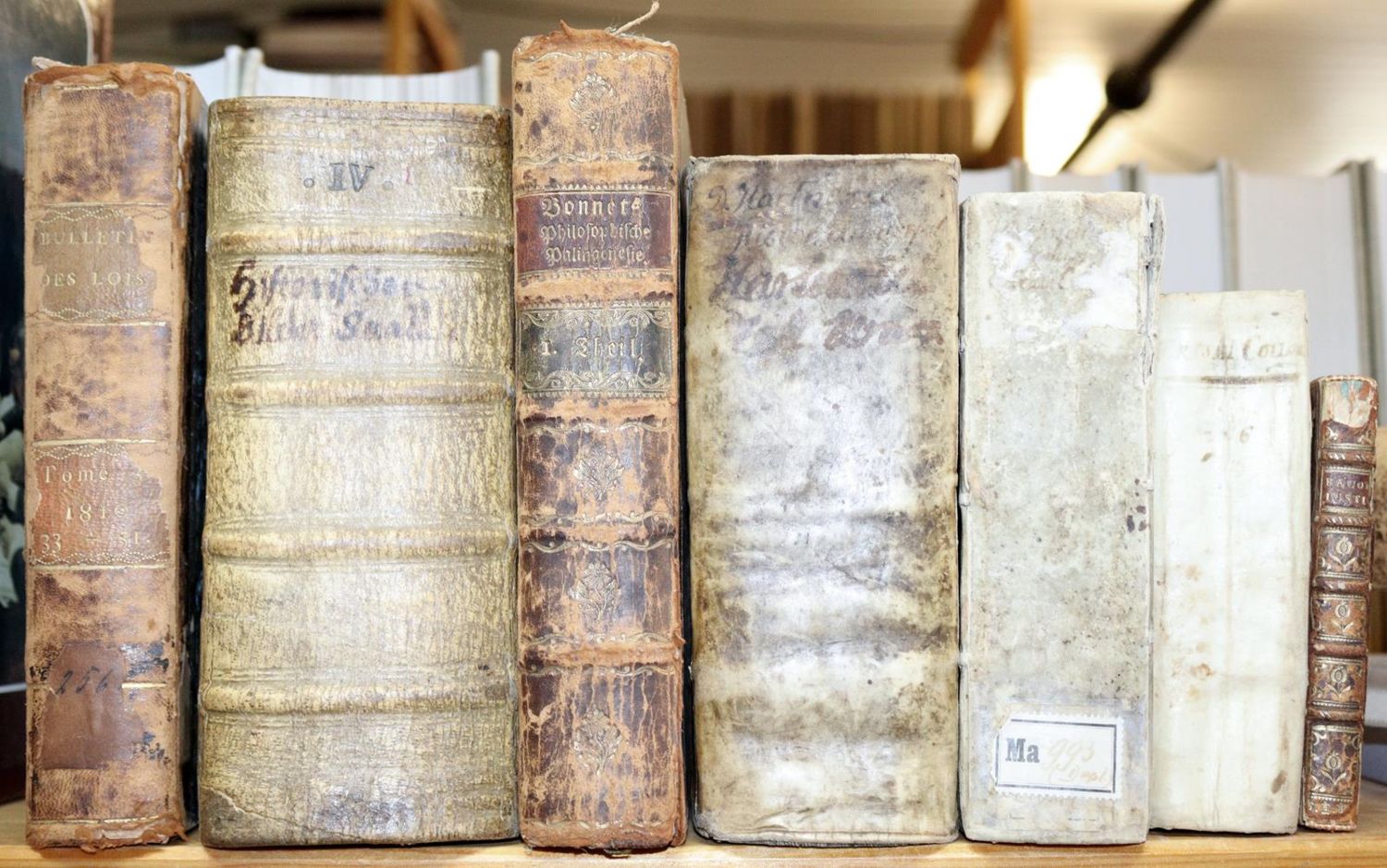 Große Abbildung Nr.2: 144-397 Konvolut: (Varia)