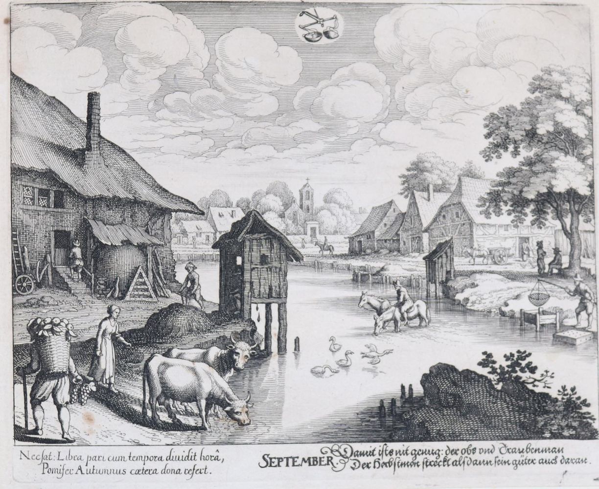 Große Abbildung Nr.8: 144-4059 Merian, Matthäus: (Künstlergraphik)