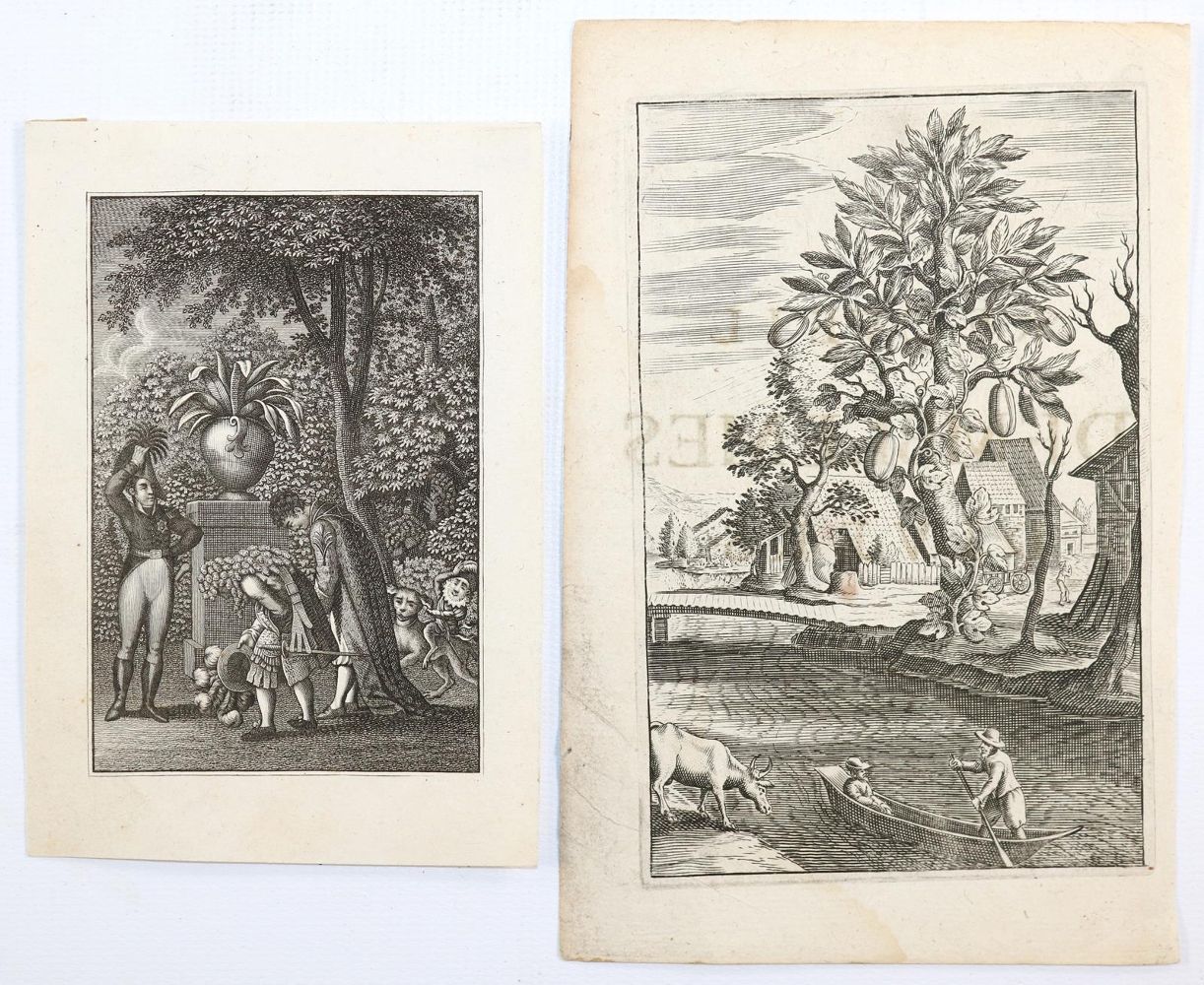 Große Abbildung Nr.2: 144-4167 Pfeffel II, Johann Andréas: (Künstlergraphik)
