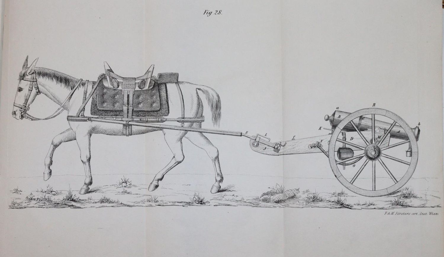 Große Abbildung Nr.5: 144-423 Rutzky,A. u. O.v.Grahl.: (Militaria)