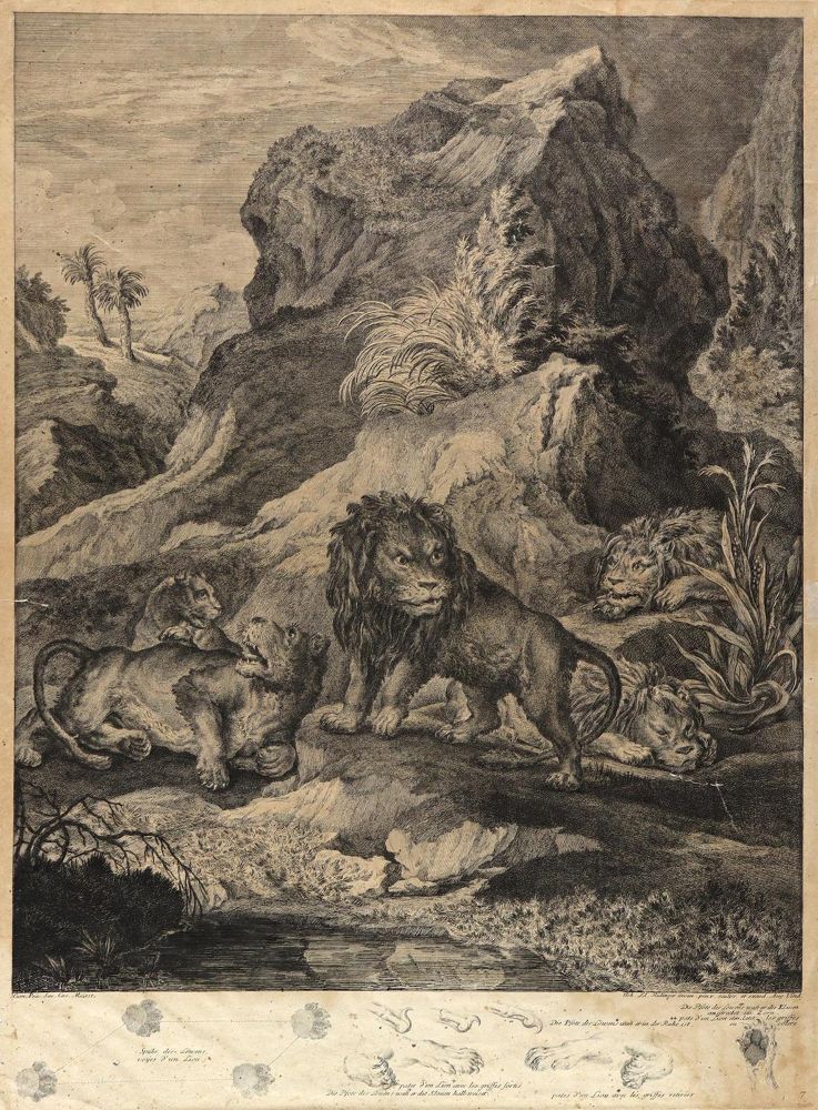 Große Abbildung Nr.1: 144-4264 Ridinger, Johann Elias: (Künstlergraphik)