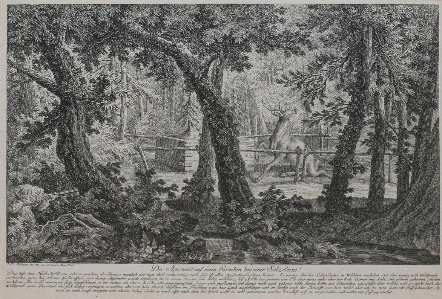 Große Abbildung Nr.1: 144-4265 Ridinger, Johann Elias: (Künstlergraphik)
