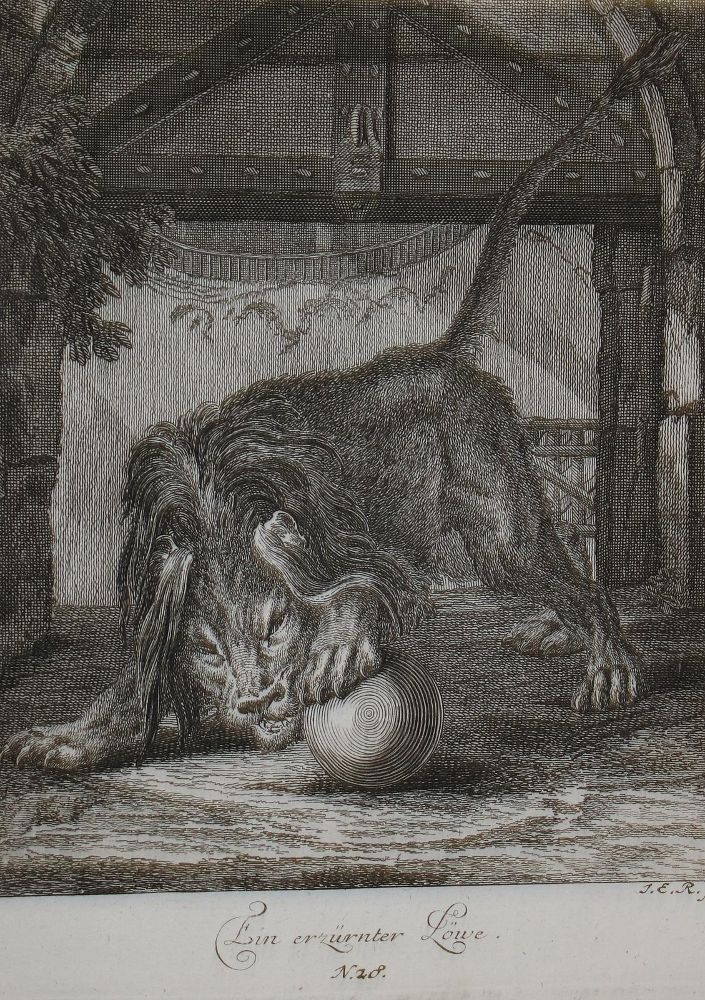 Große Abbildung Nr.2: 144-4266 Tiere.: (Künstlergraphik, Ridinger)