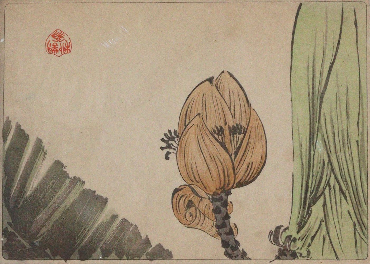 Große Abbildung Nr.1: 144-4525 Zeshin, Shibata: (Künstlergraphik)