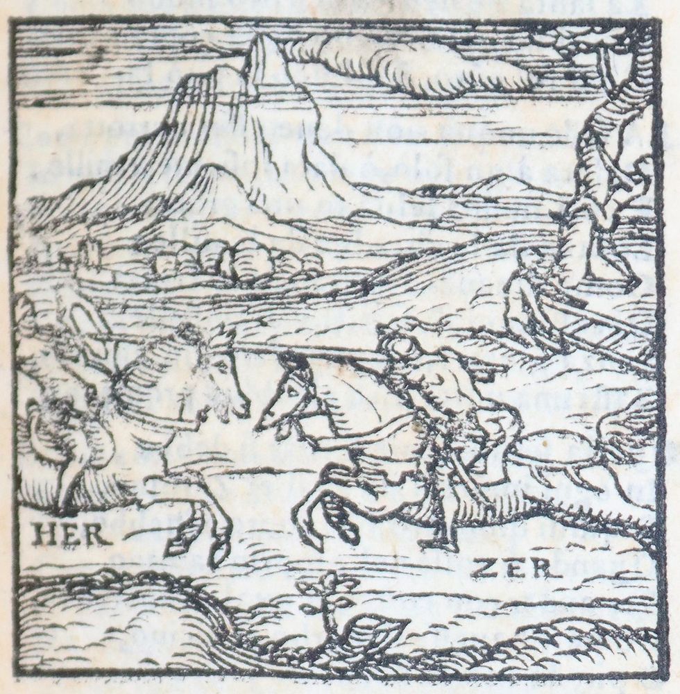 Große Abbildung Nr.4: 144-46 Ariosto,L.: (Einband)