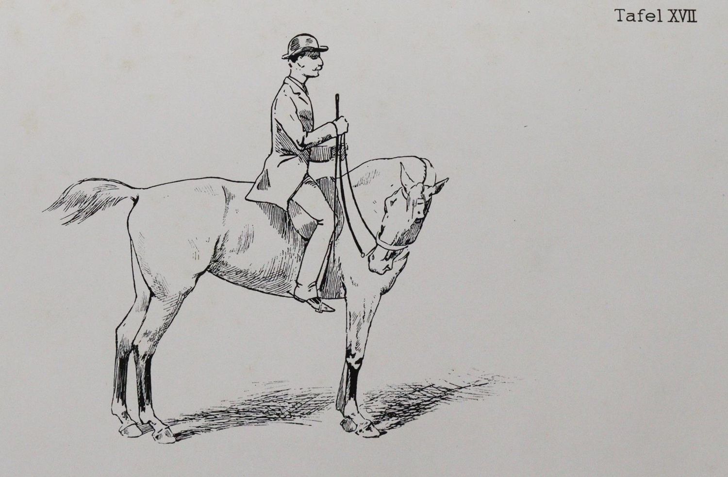 Große Abbildung Nr.3: 144-506 Fillis,J.: (Sport, Reitsport)