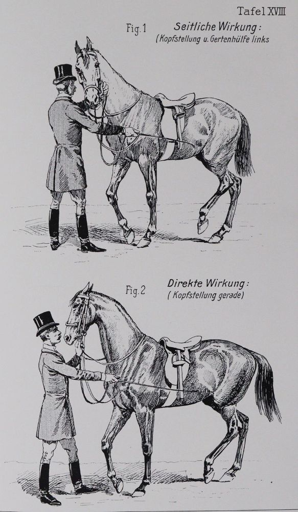 Große Abbildung Nr.4: 144-506 Fillis,J.: (Sport, Reitsport)