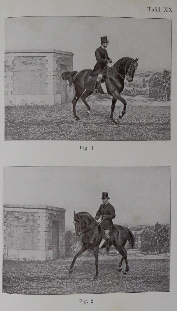 Große Abbildung Nr.5: 144-506 Fillis,J.: (Sport, Reitsport)