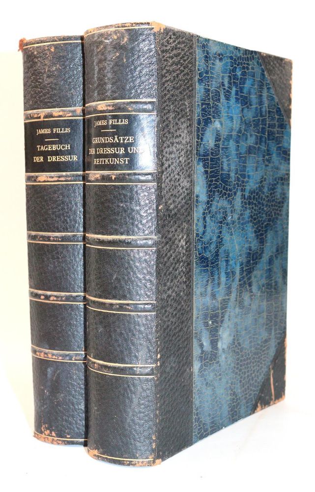 Große Abbildung Nr.6: 144-506 Fillis,J.: (Sport, Reitsport)