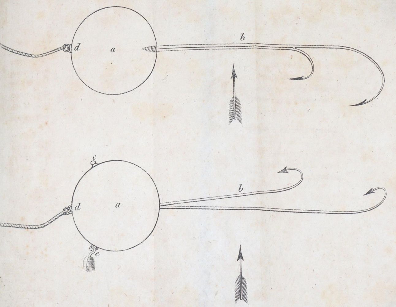 Große Abbildung Nr.2: 144-524 Diezel,C.E. (Hrsg.).: (Jagd)