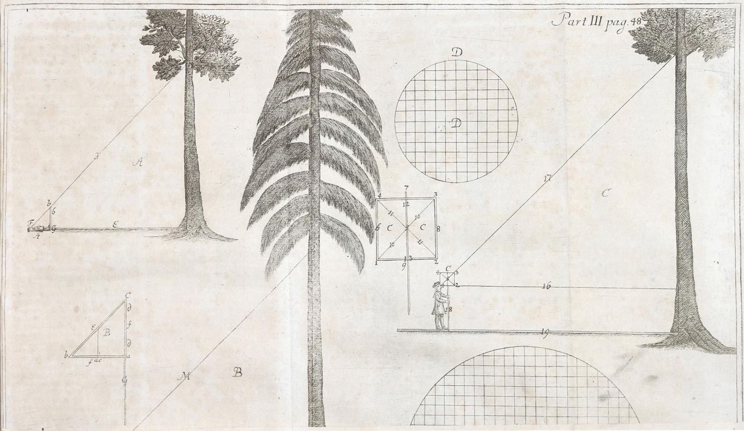 Große Abbildung Nr.3: 144-525 Döbel,H.W.: (Jagd)