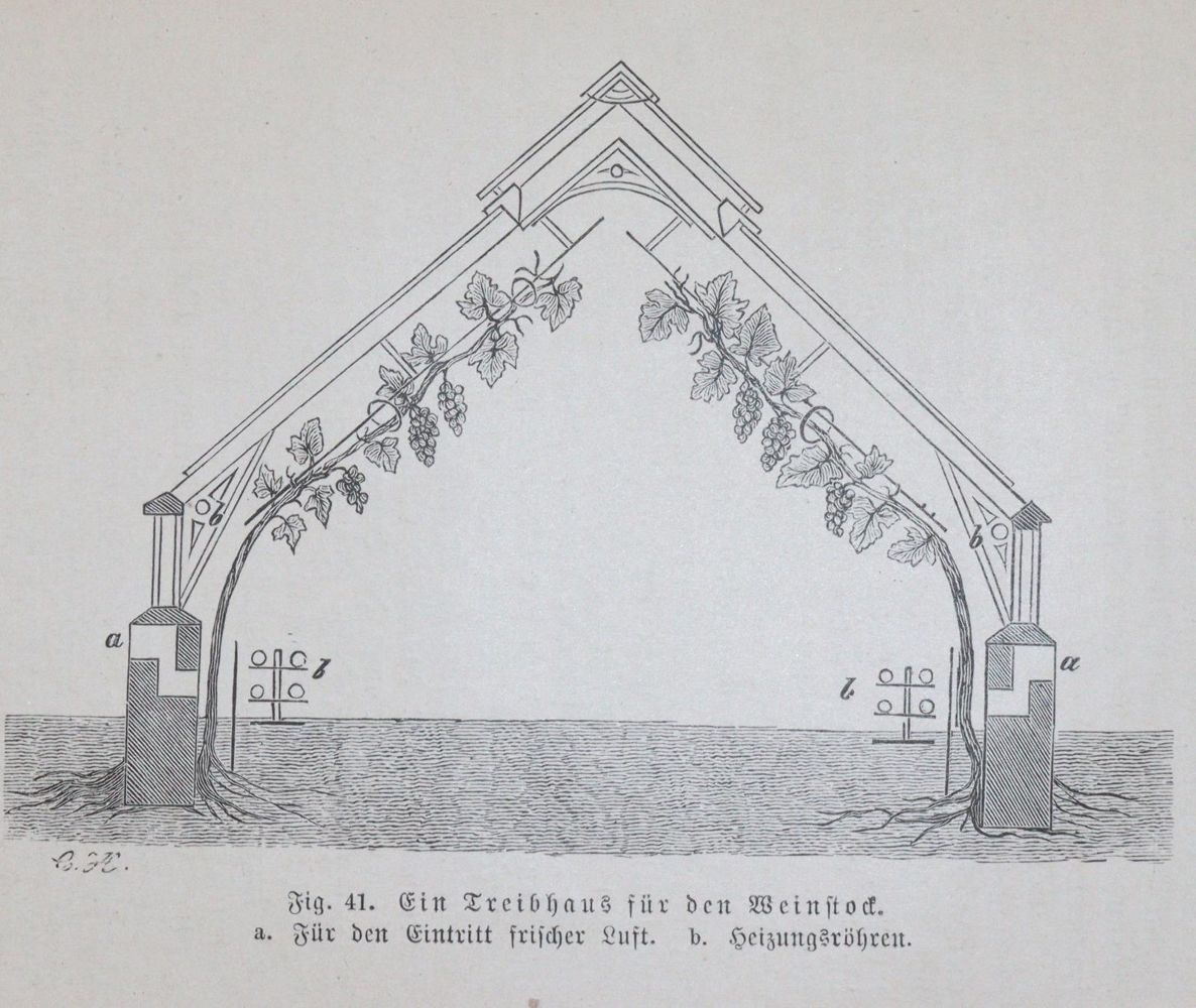 Große Abbildung Nr.3: 144-534 Hüttig,O.: (Küche und Haushalt, Getränke, Wein)