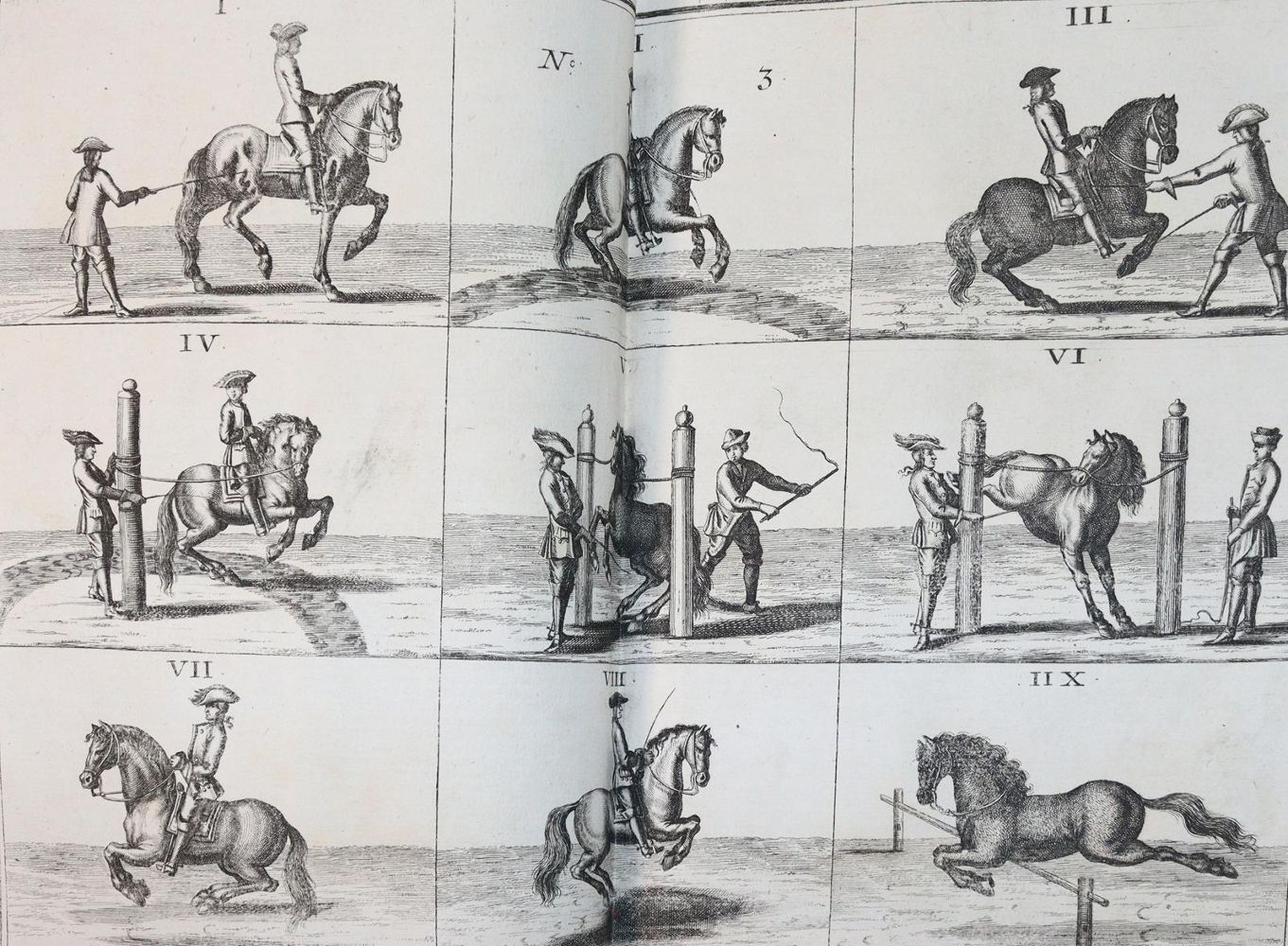 Große Abbildung Nr.13: 144-545 Florinus,F.P.: (Küche und Haushalt, Hausväterliteratur)