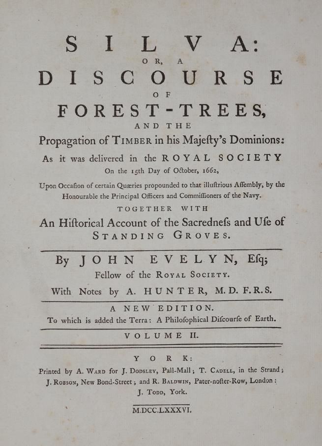 Große Abbildung Nr.1: 144-571 Evelyn,J.: (Land- und Forstwirtschaft, Forstwirtschaft)