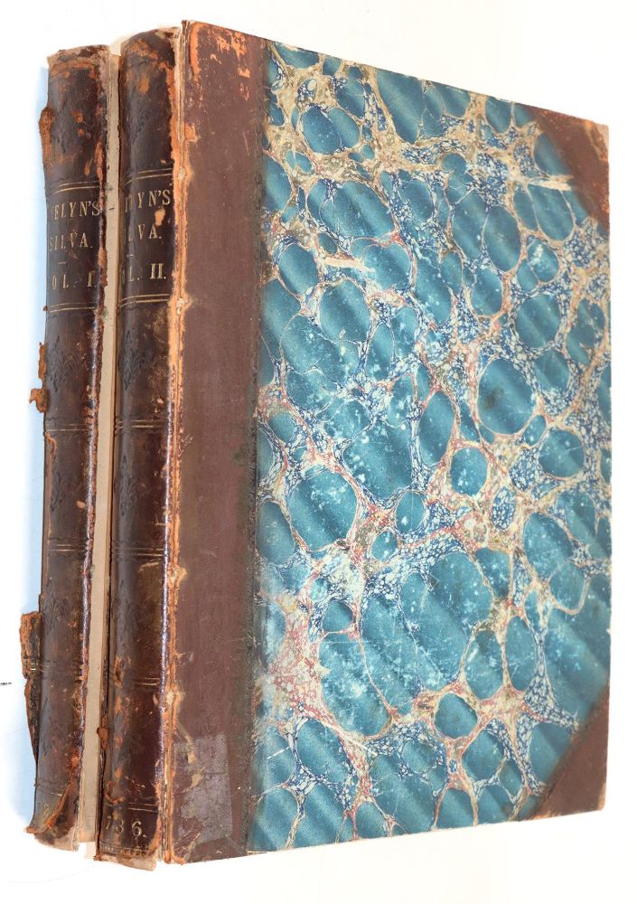 Große Abbildung Nr.4: 144-571 Evelyn,J.: (Land- und Forstwirtschaft, Forstwirtschaft)