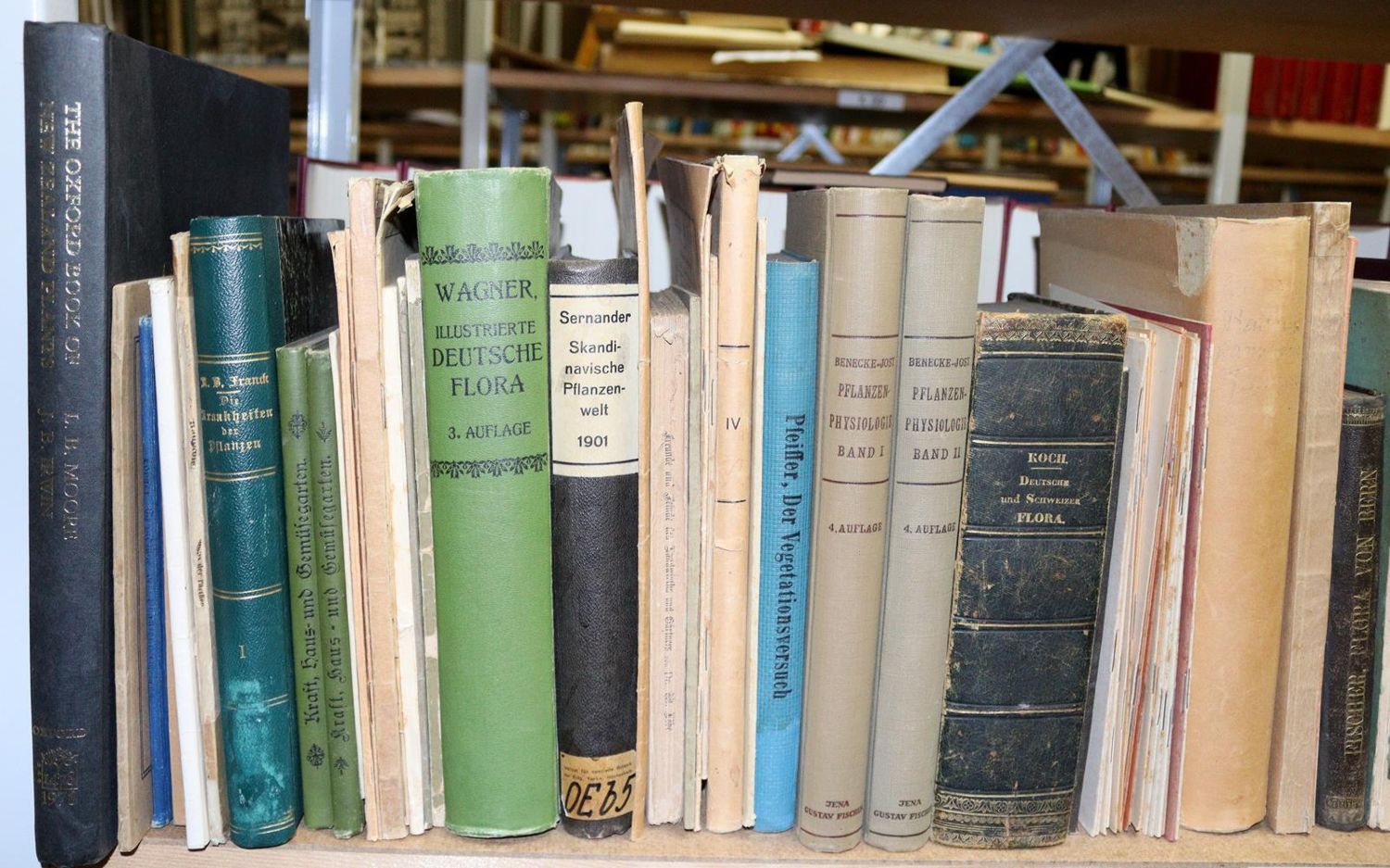 Große Abbildung Nr.2: 144-573 Sammlung: (Land- und Forstwirtschaft, Garten)