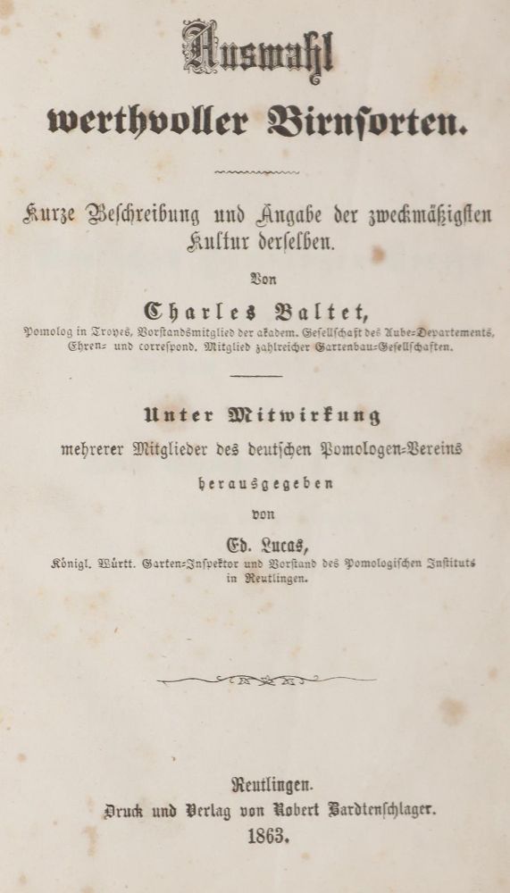Große Abbildung Nr.3: 144-582 Baltet,C.: (Land- und Forstwirtschaft, Obstbau)