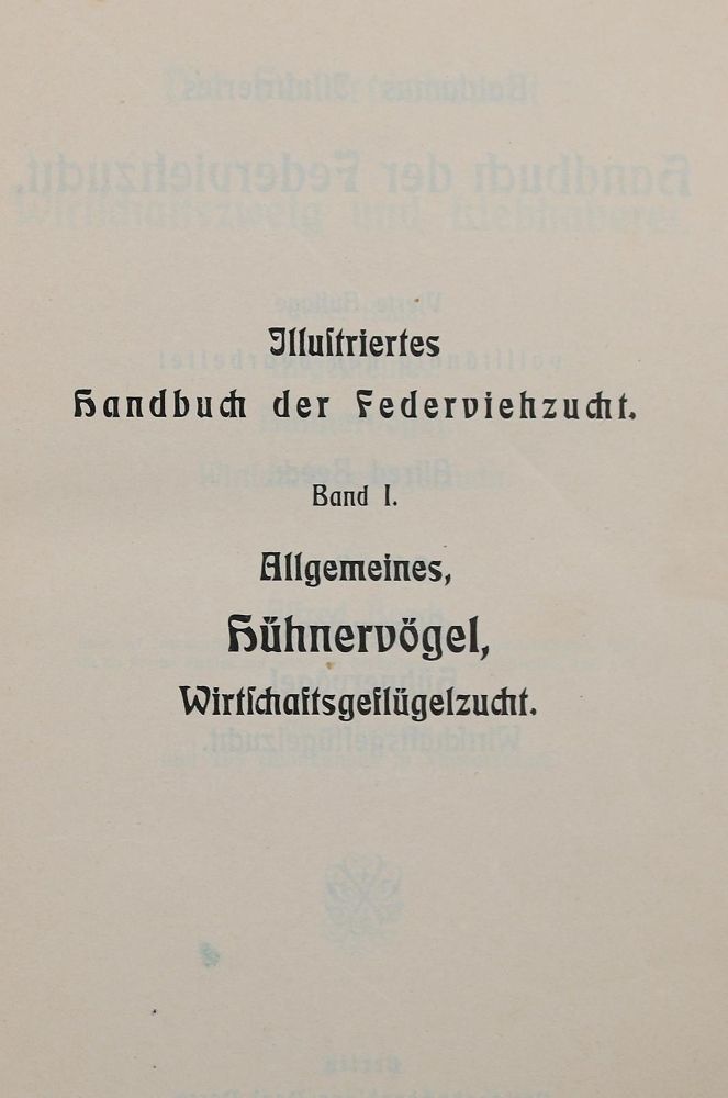 Große Abbildung Nr.2: 144-587 Beeck,A.: (Land- und Forstwirtschaft, Tierhaltung, Geflügel)