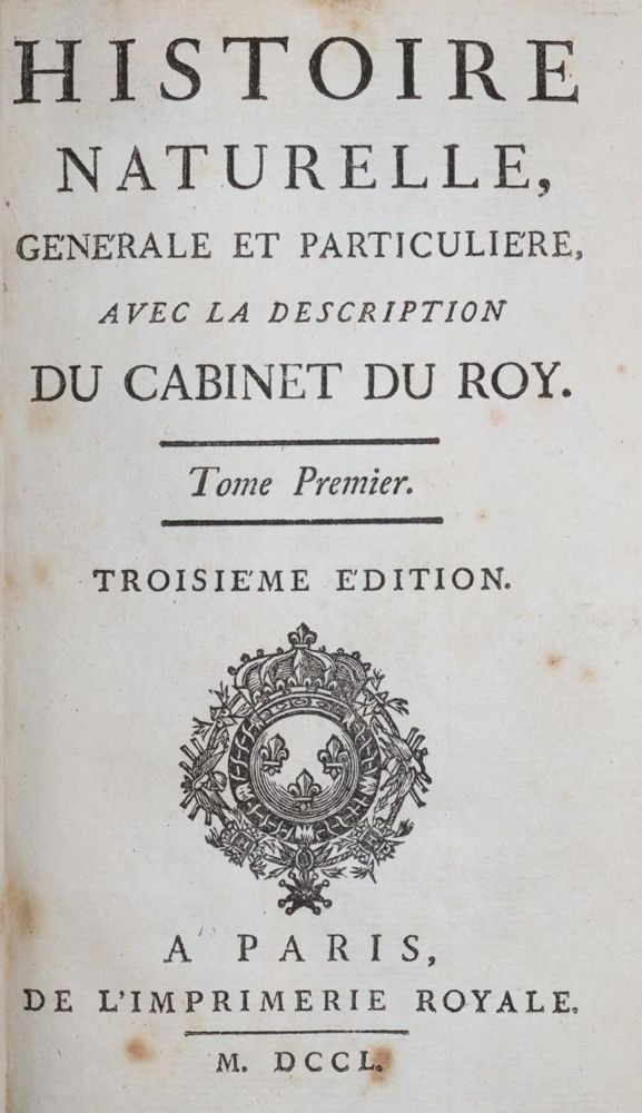 Große Abbildung Nr.1: 144-678 Scala,A.v.: (Kunstwissenschaft)