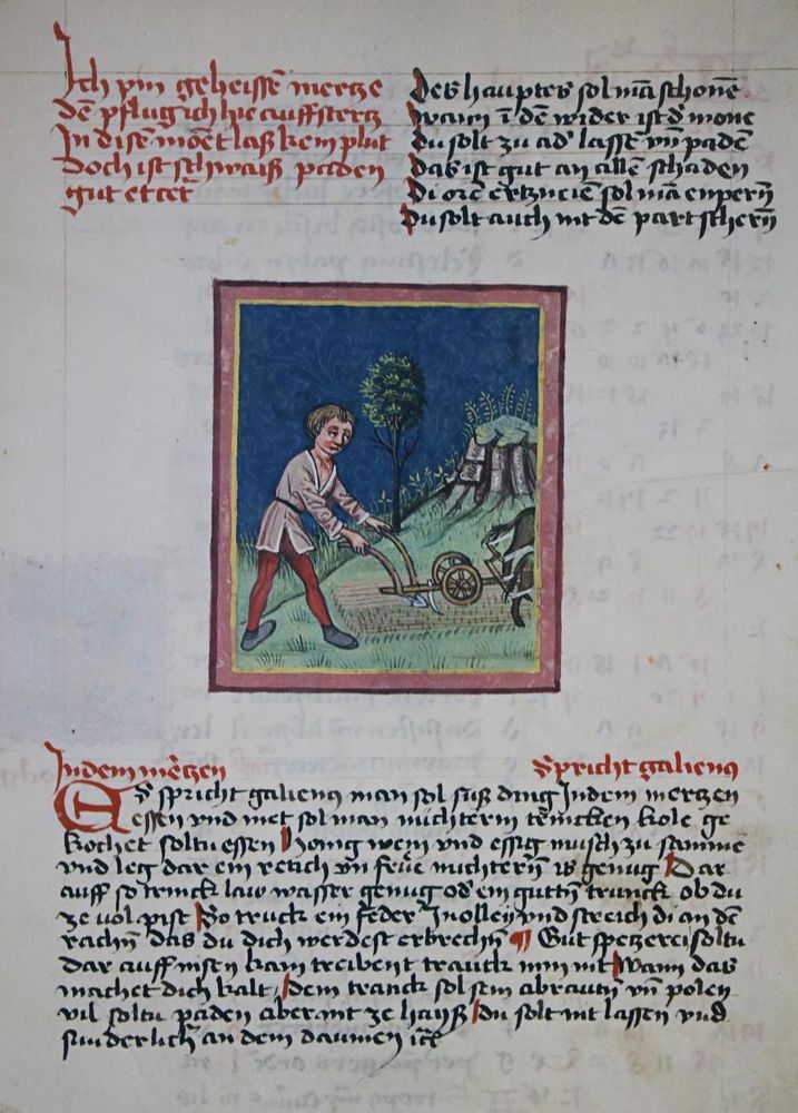 Große Abbildung Nr.1: 144-710 Altteutscher astro-medicinischer Rathgeber.: (Faksimile)