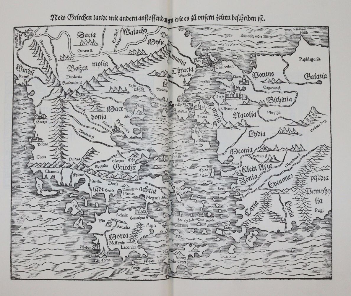 Große Abbildung Nr.5: 144-733 Münster,S.: (Faksimile)