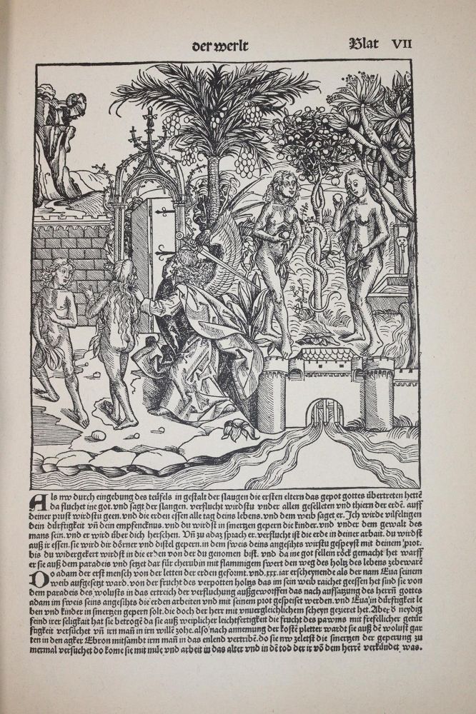 Große Abbildung Nr.3: 144-740 Schedel,H.: (Faksimile)