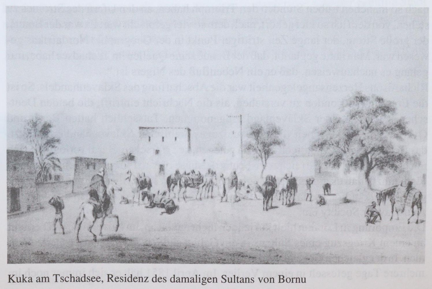 Große Abbildung Nr.3: 144-765 Schegk,F. u. H.Wimmer.: (Lexika - Wörterbücher - Sprachwissenschaften)