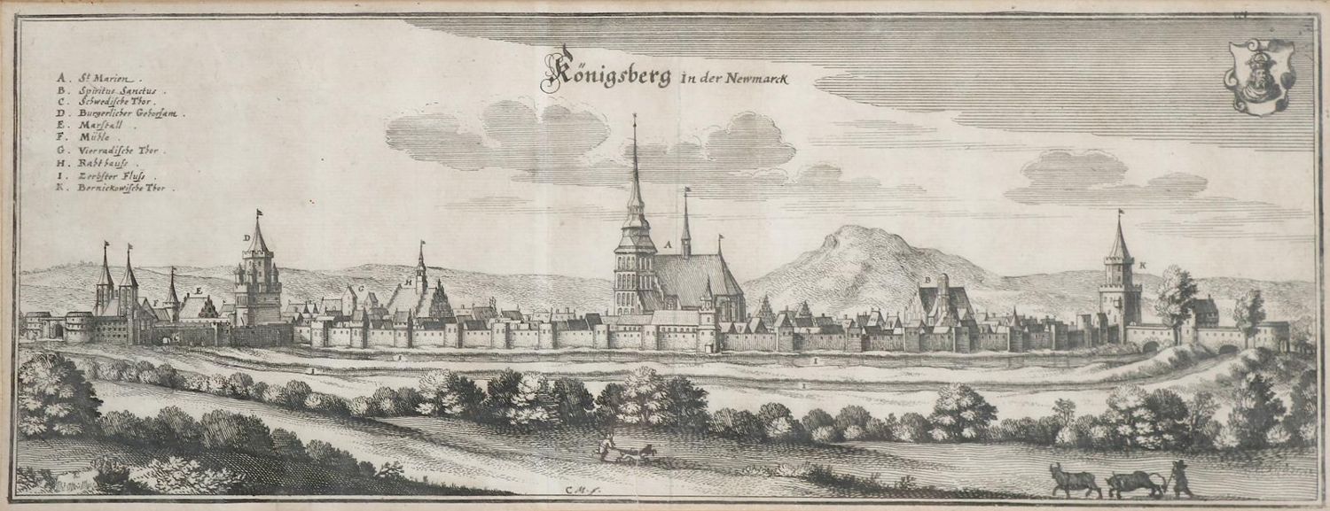 Große Abbildung Nr.31: 144-765 Schegk,F. u. H.Wimmer.: (Lexika - Wörterbücher - Sprachwissenschaften)