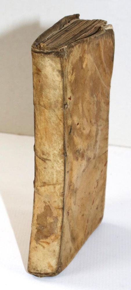 Große Abbildung Nr.2: 144-806 Gediccus,S.: (Frauenbewegung)