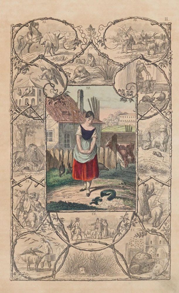 Große Abbildung Nr.2: 144-835 Aesop.: (Kinder- und Jugendbücher)