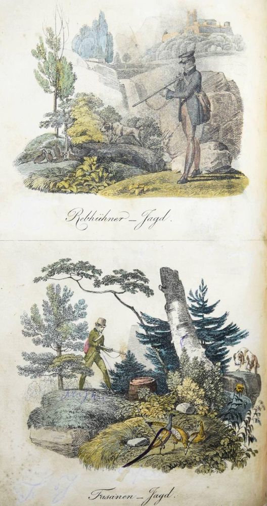 Große Abbildung Nr.4: 144-851 Chimani,L.: (Kinder- und Jugendbücher)