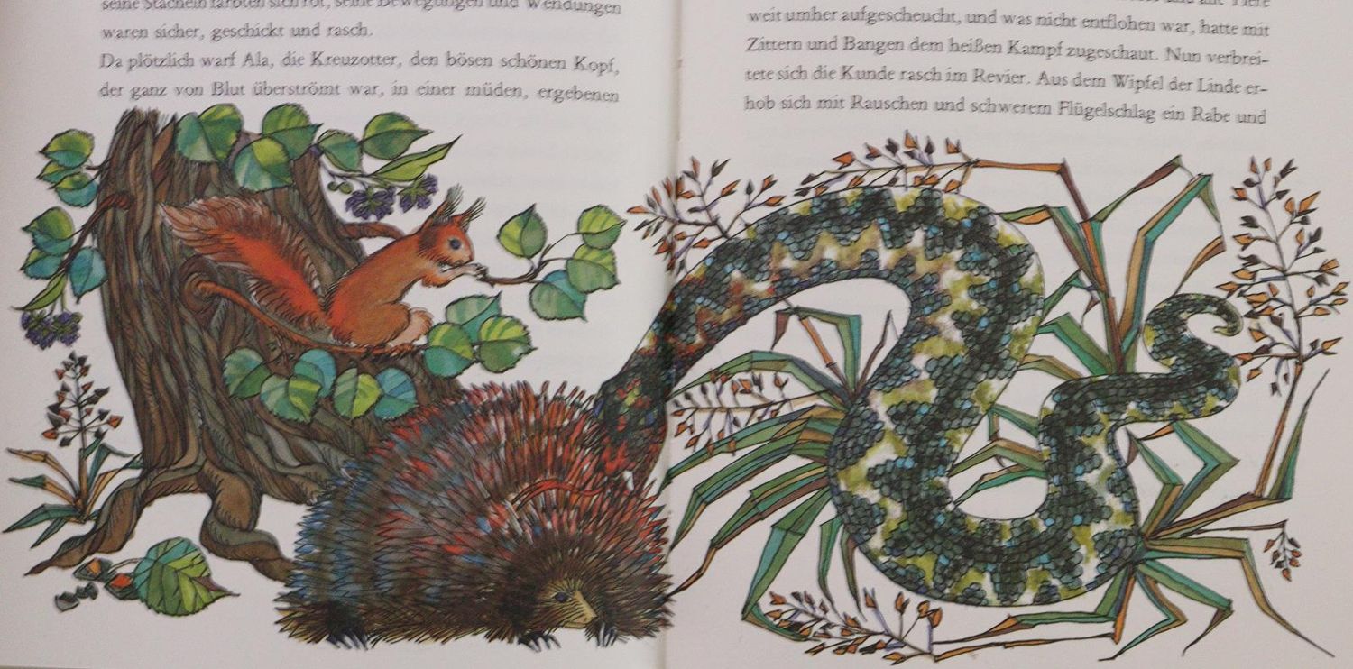 Große Abbildung Nr.3: 144-876 Konvolut: (Kinder- und Jugendbücher)