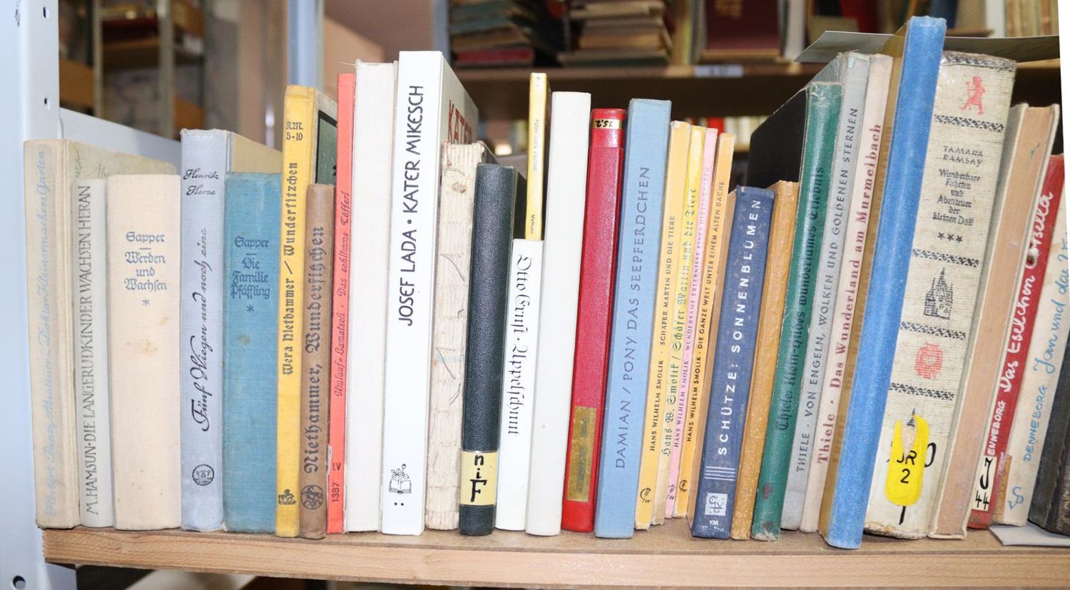 Große Abbildung Nr.9: 144-876 Konvolut: (Kinder- und Jugendbücher)