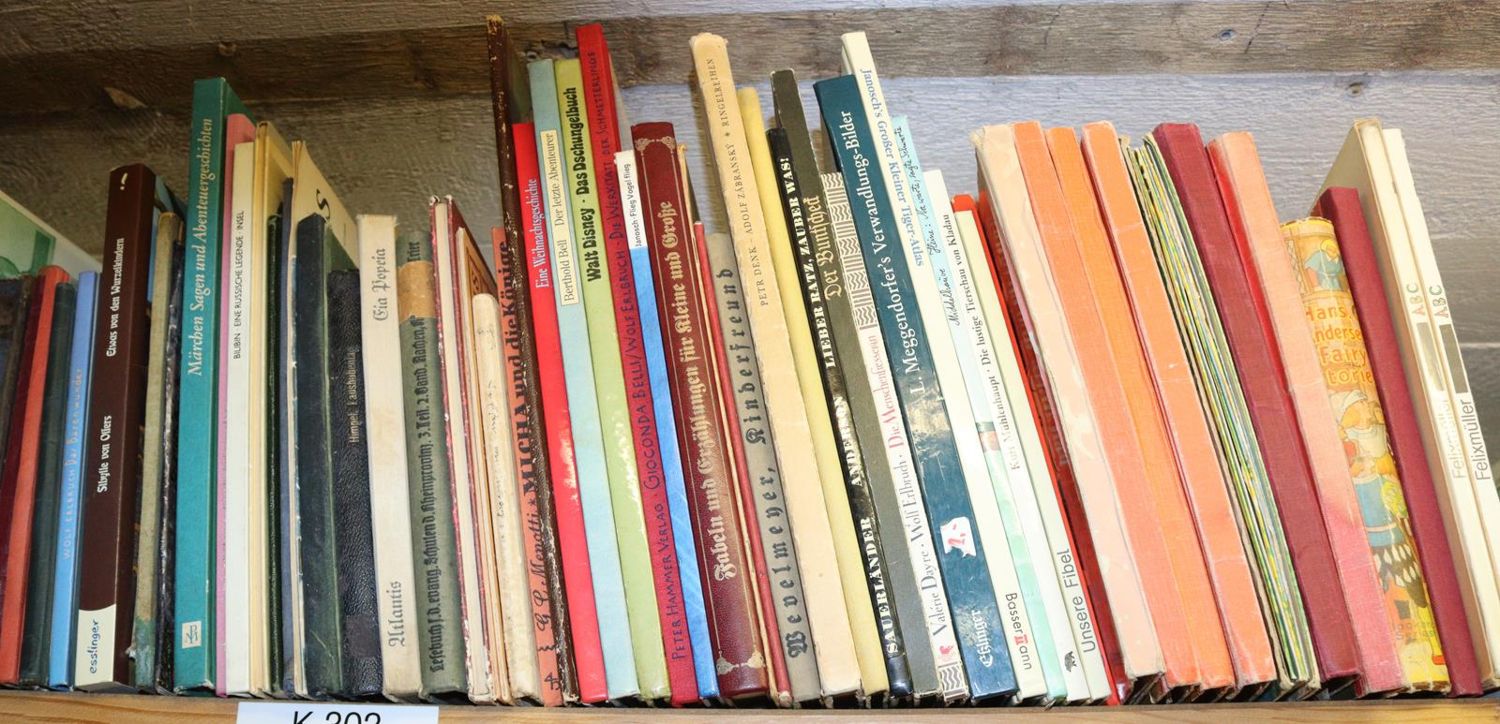Große Abbildung Nr.6: 144-882 Konvolut: (Kinder- und Jugendbücher)